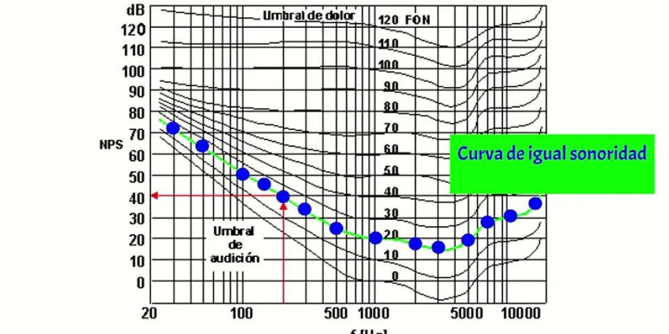 fletcher munson curve là gì - Nghĩa của từ fletcher munson curve