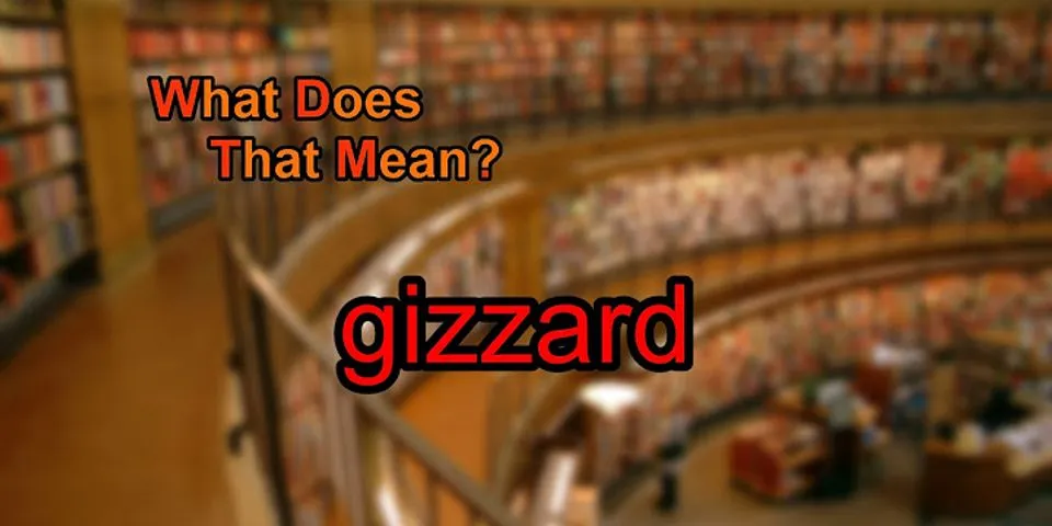 gizzard là gì - Nghĩa của từ gizzard