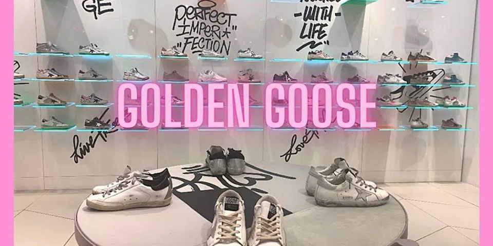 golden goose là gì - Nghĩa của từ golden goose