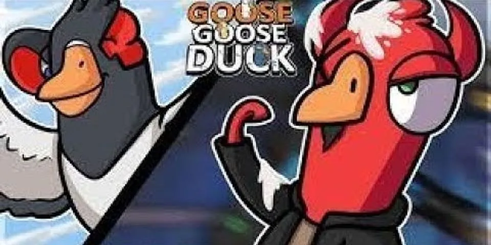 goose suit là gì - Nghĩa của từ goose suit