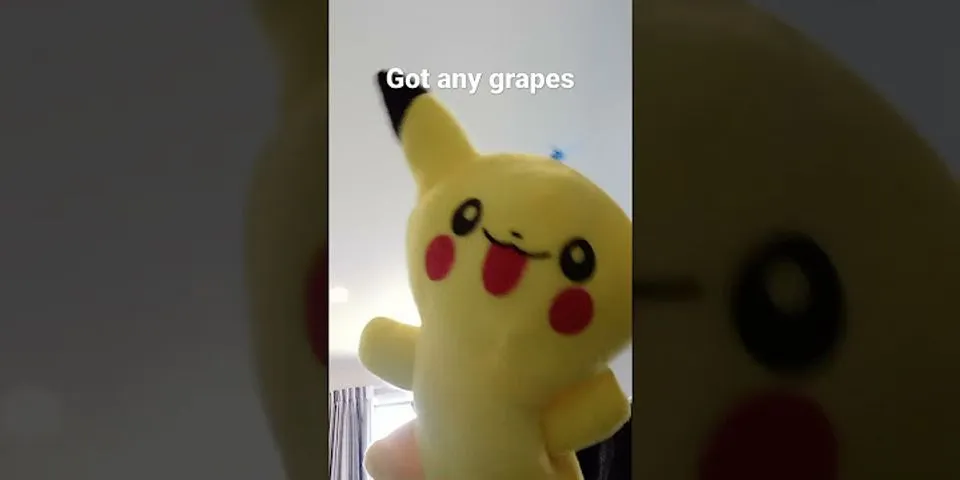 got any grapes là gì - Nghĩa của từ got any grapes