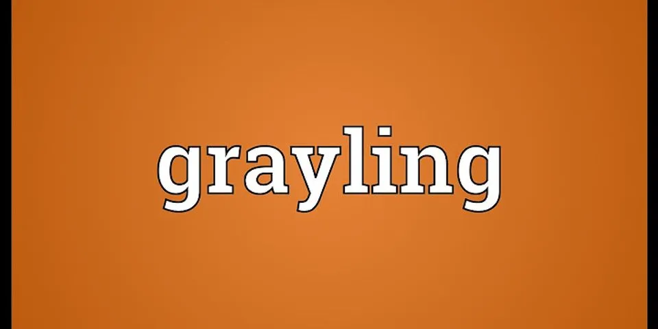 greyling là gì - Nghĩa của từ greyling