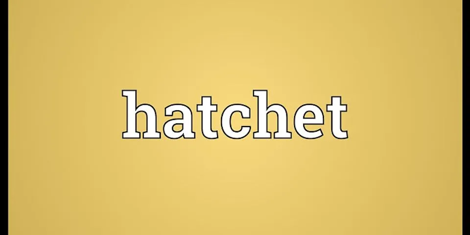 hatchet face là gì - Nghĩa của từ hatchet face