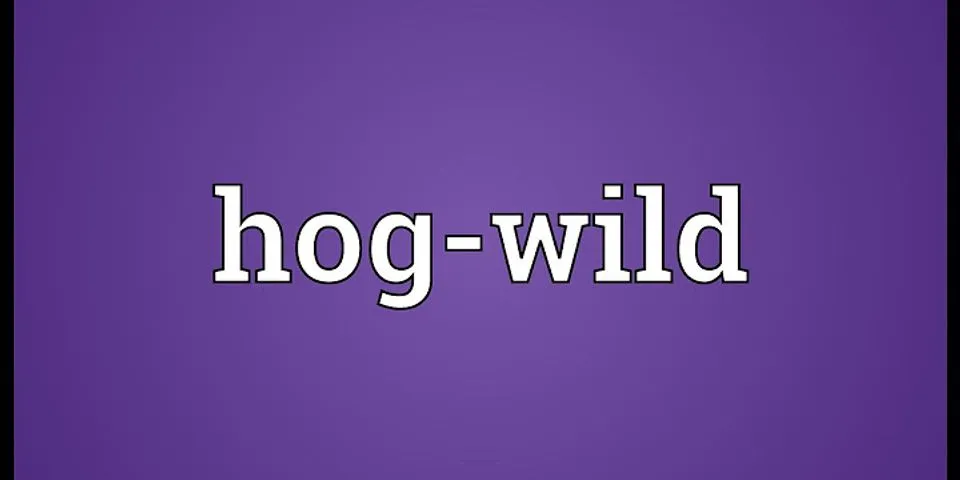 hawg wild là gì - Nghĩa của từ hawg wild