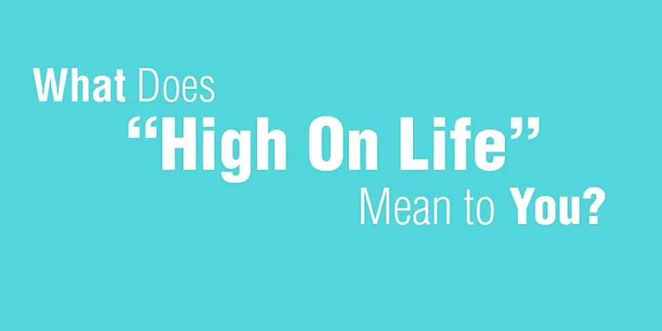 high life là gì - Nghĩa của từ high life