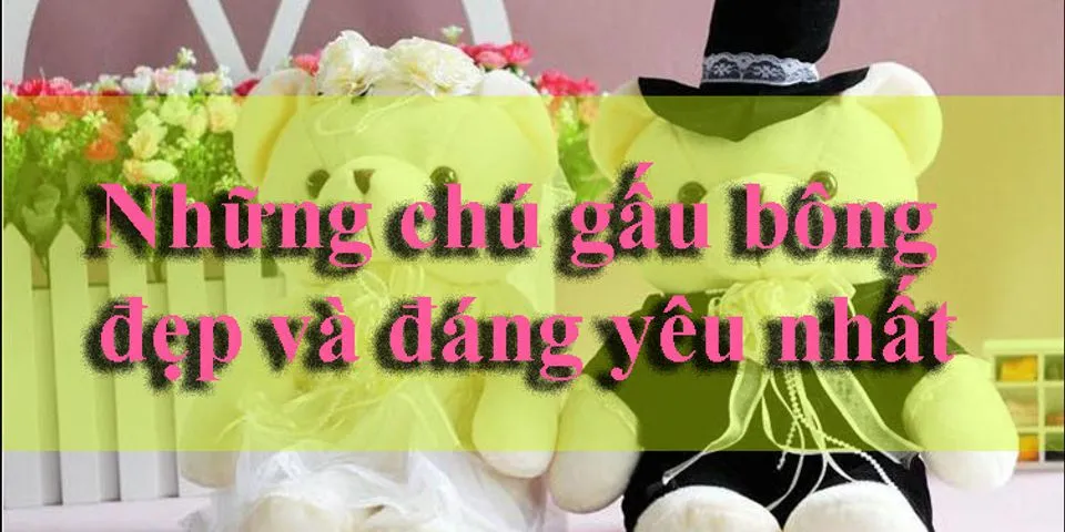 Top 7 hình ảnh gấu bông đẹp nhất thế giới