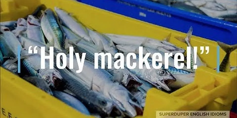 holy mackerel là gì - Nghĩa của từ holy mackerel
