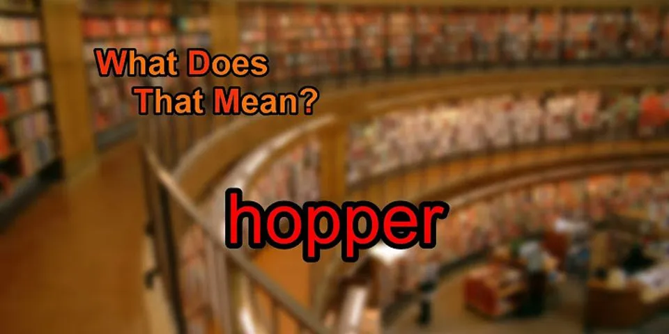 hopper là gì - Nghĩa của từ hopper