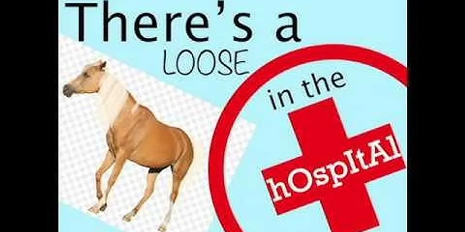 horse loose in a hospital là gì - Nghĩa của từ horse loose in a hospital