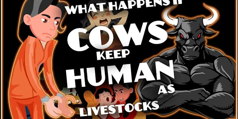 human cow là gì - Nghĩa của từ human cow