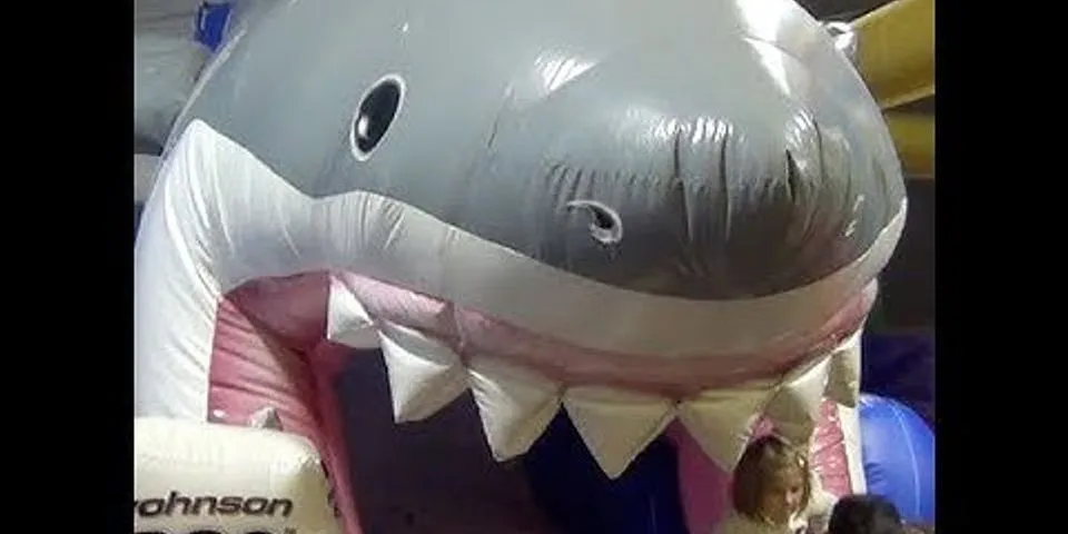 inflatable shark là gì - Nghĩa của từ inflatable shark