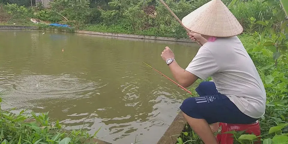 Kinh nghiệm câu cá mùa thu