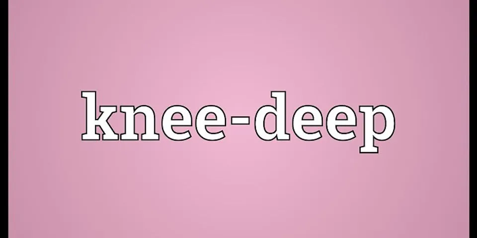 knee deep là gì - Nghĩa của từ knee deep