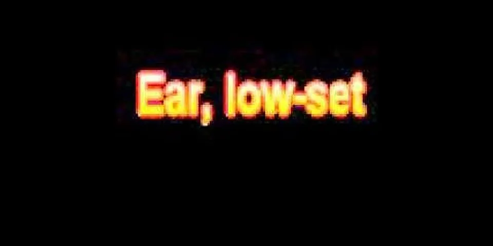 low set ears là gì - Nghĩa của từ low set ears