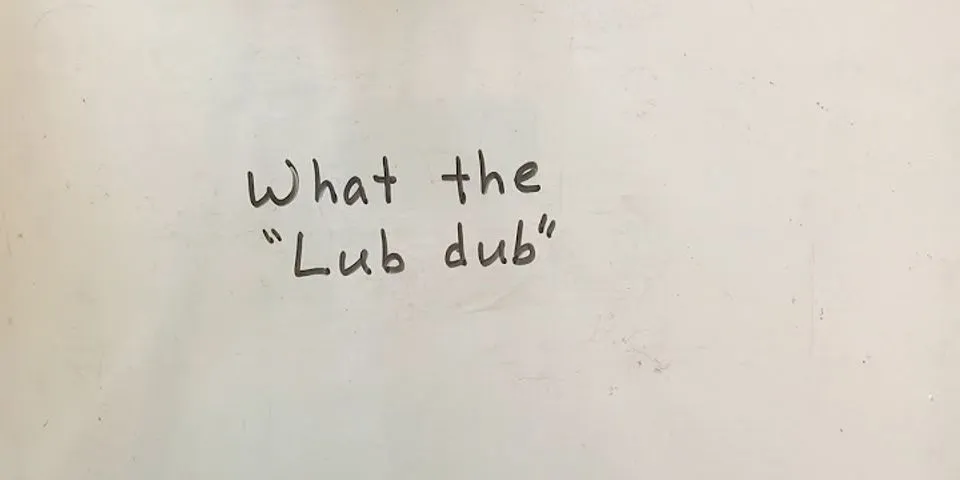 lub dub là gì - Nghĩa của từ lub dub