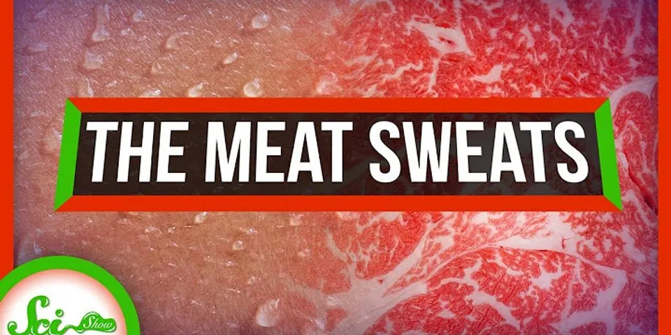 meat sweats là gì - Nghĩa của từ meat sweats