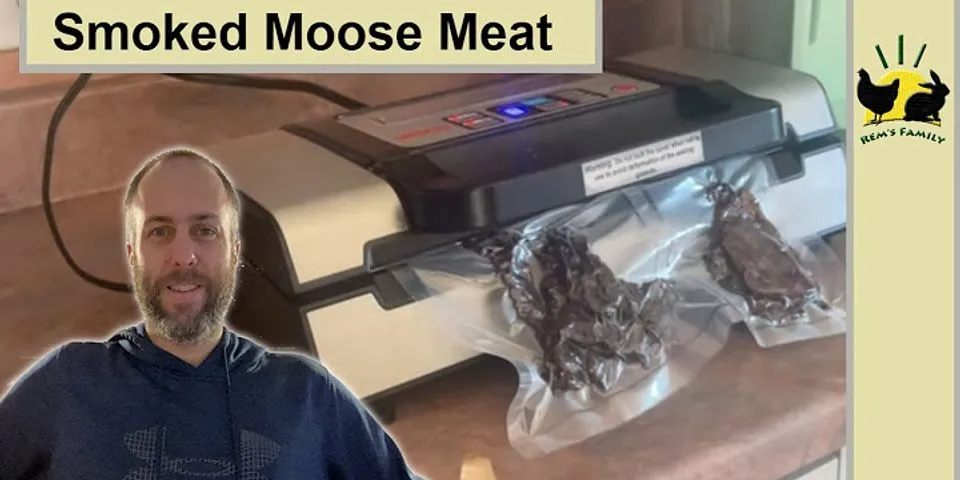 moose meat là gì - Nghĩa của từ moose meat