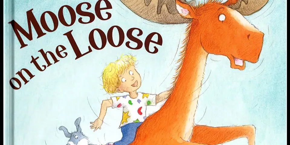 moose on the loose là gì - Nghĩa của từ moose on the loose