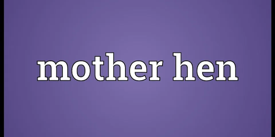 mother hen là gì - Nghĩa của từ mother hen
