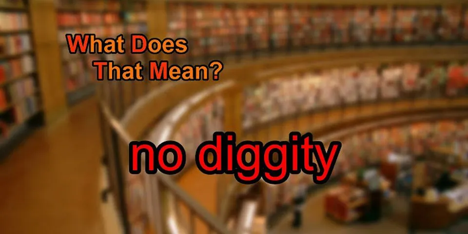 no diggity là gì - Nghĩa của từ no diggity