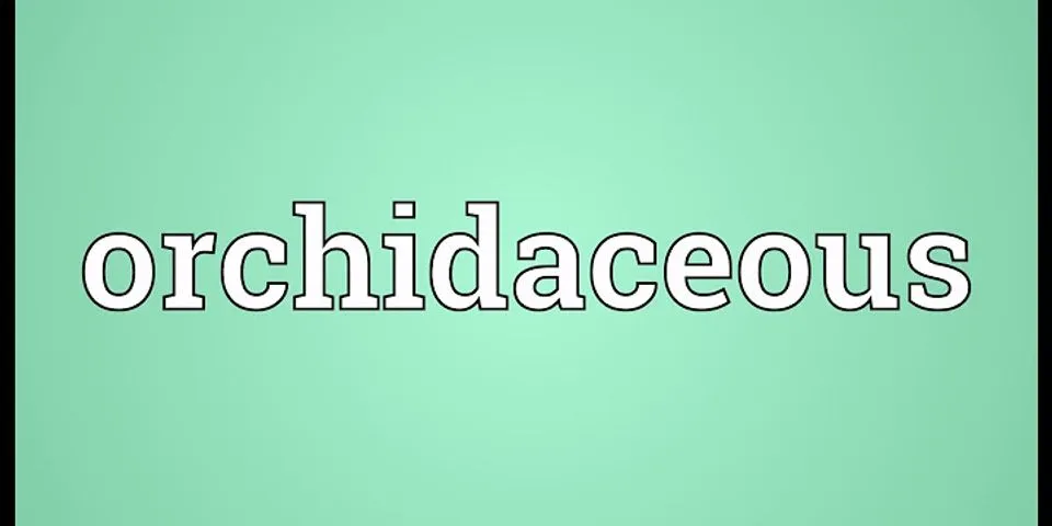 orchidaceous là gì - Nghĩa của từ orchidaceous