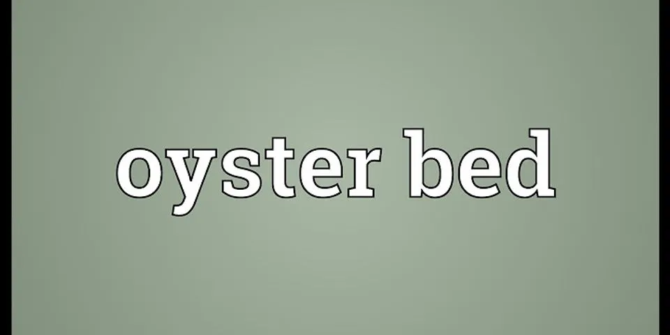 oyster bed là gì - Nghĩa của từ oyster bed