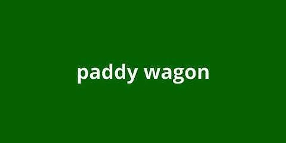 paddy wagon là gì - Nghĩa của từ paddy wagon