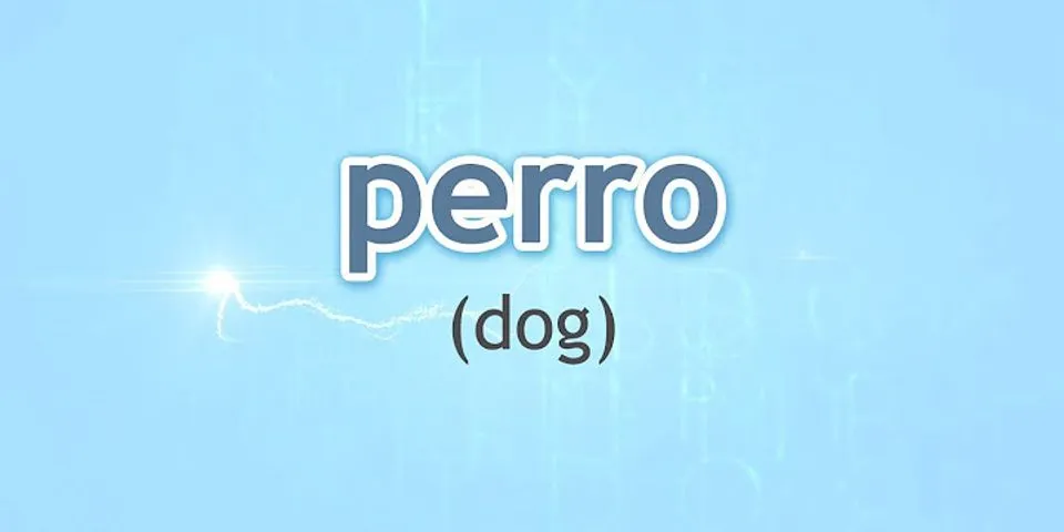 perro là gì - Nghĩa của từ perro