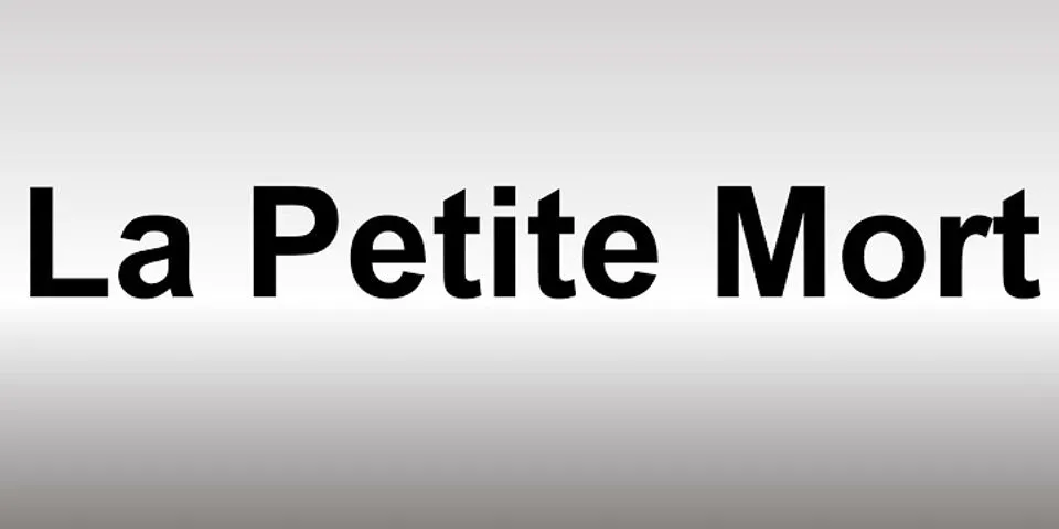 petite mort là gì - Nghĩa của từ petite mort