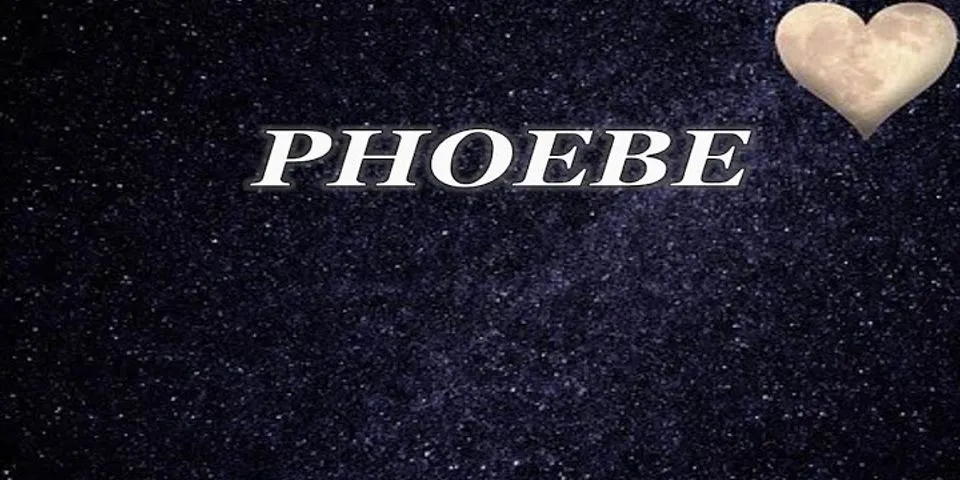 phoebe là gì - Nghĩa của từ phoebe