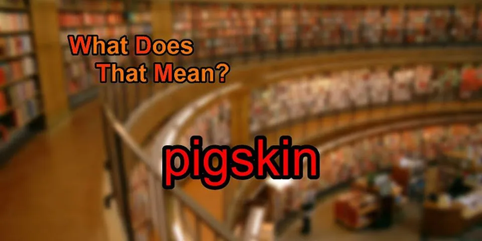 pig skin là gì - Nghĩa của từ pig skin