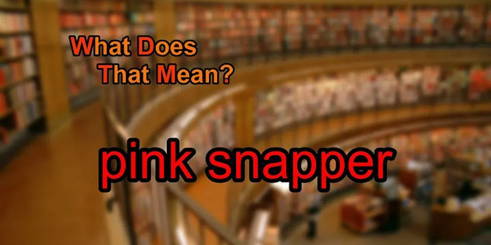pink snapper là gì - Nghĩa của từ pink snapper