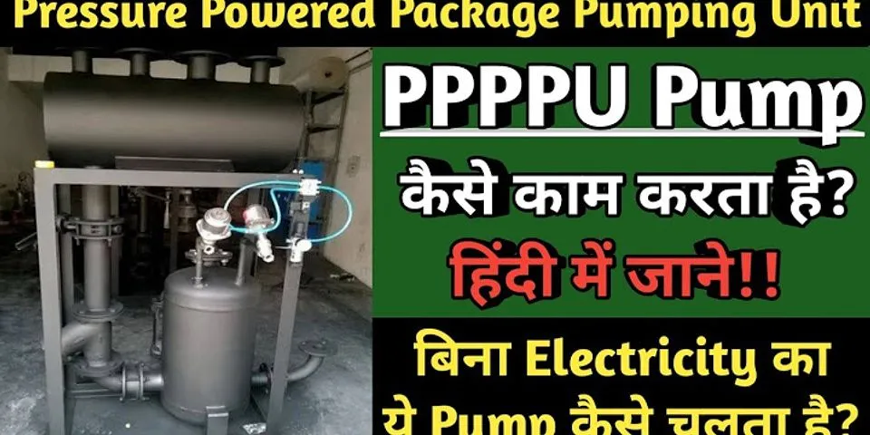 ppppu là gì - Nghĩa của từ ppppu