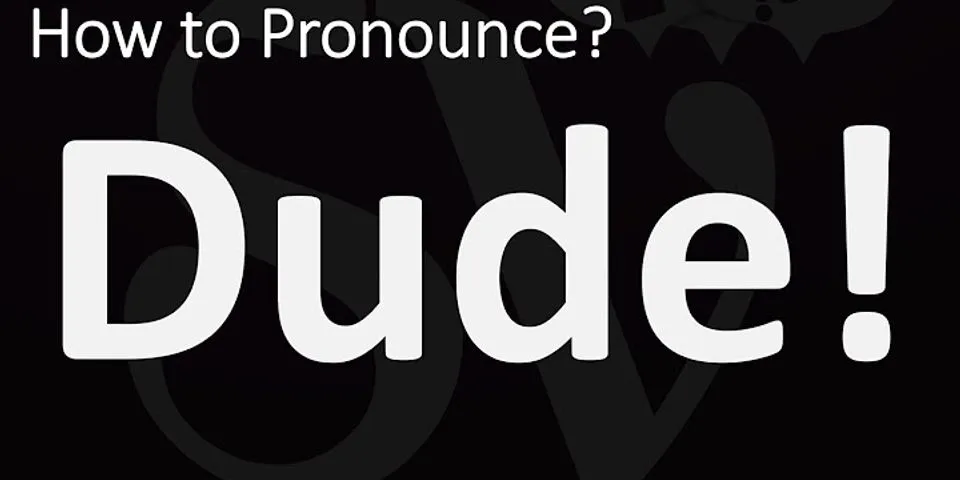 progamerdude là gì - Nghĩa của từ progamerdude