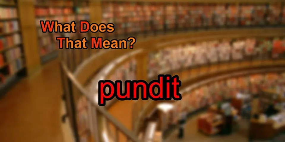 pundit là gì - Nghĩa của từ pundit