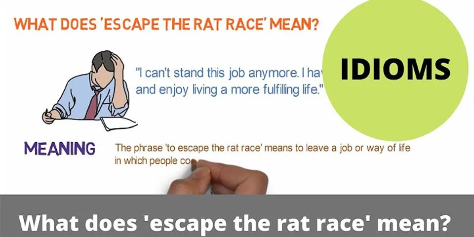 rat race là gì - Nghĩa của từ rat race