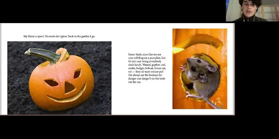 rotten pumpkin là gì - Nghĩa của từ rotten pumpkin