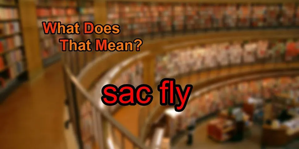 sac fly là gì - Nghĩa của từ sac fly