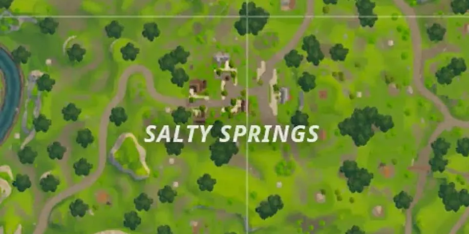 salty springs là gì - Nghĩa của từ salty springs
