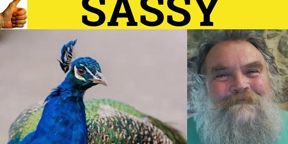 sassy là gì - Nghĩa của từ sassy