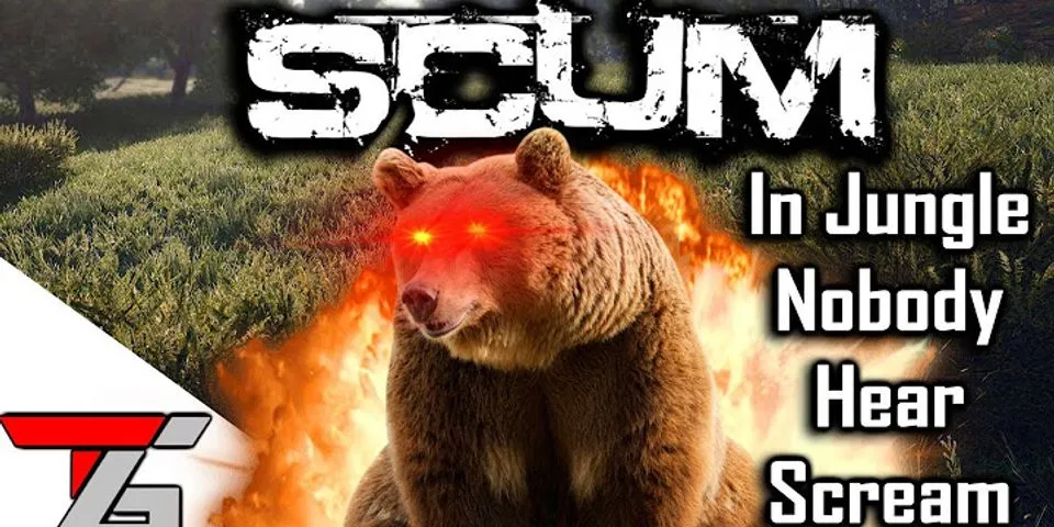 scummy bears là gì - Nghĩa của từ scummy bears