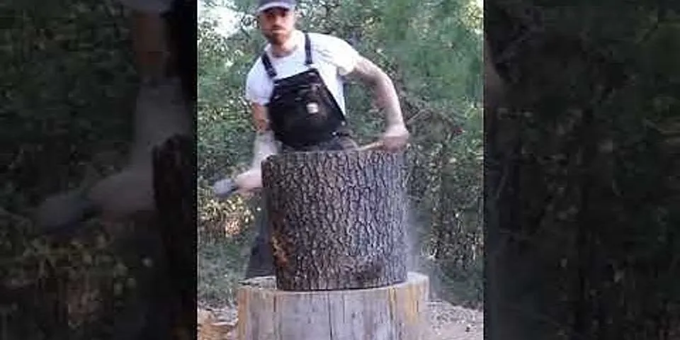 sexy lumberjack là gì - Nghĩa của từ sexy lumberjack
