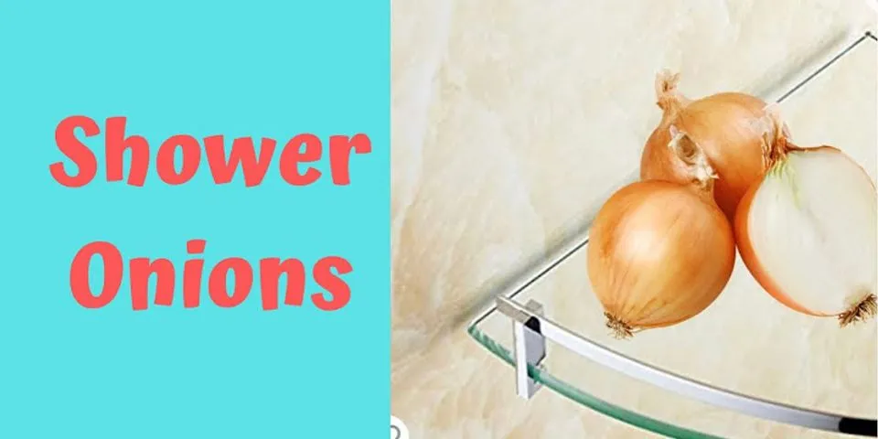 shower onion là gì - Nghĩa của từ shower onion