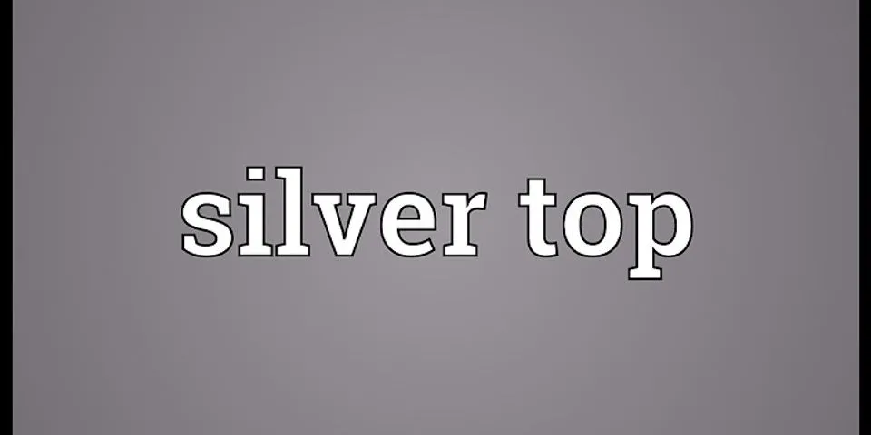 silver top là gì - Nghĩa của từ silver top