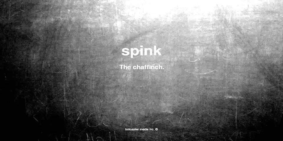 spink là gì - Nghĩa của từ spink