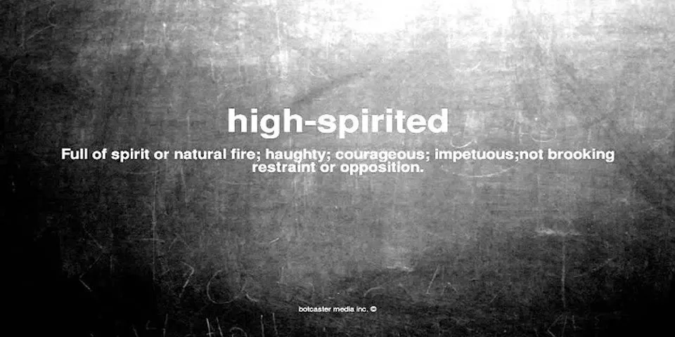 spirited là gì - Nghĩa của từ spirited
