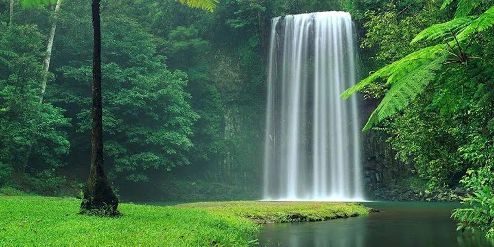 splash waterfalls là gì - Nghĩa của từ splash waterfalls