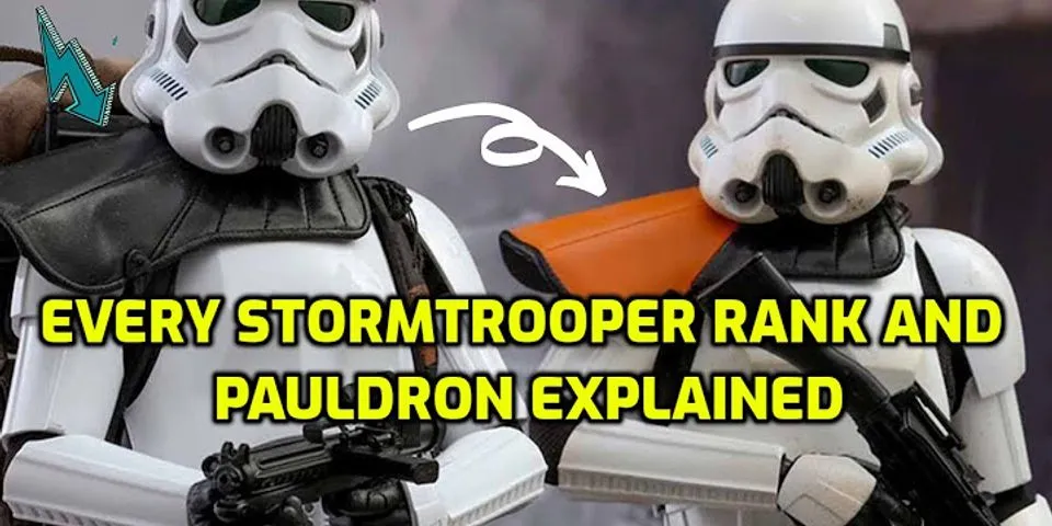 stormtrooper là gì - Nghĩa của từ stormtrooper