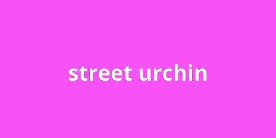 street urchin là gì - Nghĩa của từ street urchin