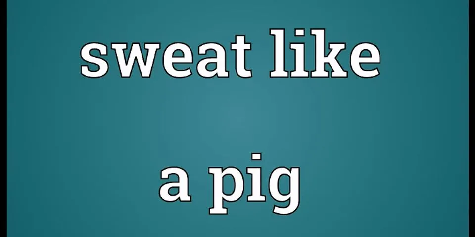 sweating like a pig là gì - Nghĩa của từ sweating like a pig